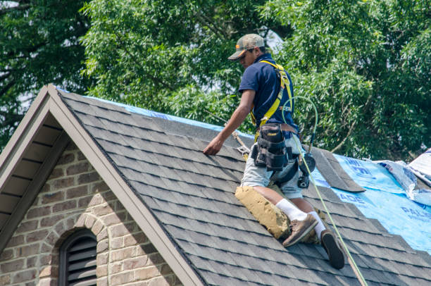 Best Flat Roof Repair Services  in Morro Bay, CA